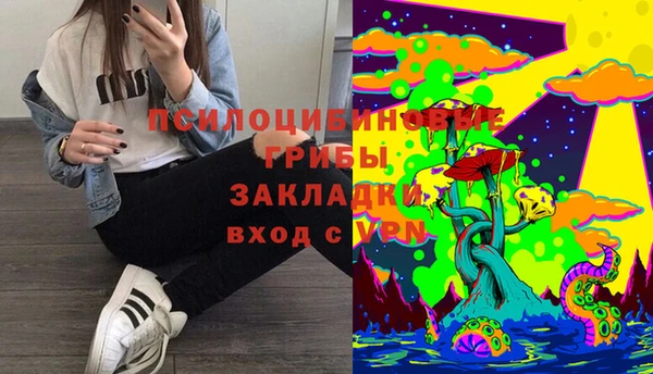шишки Вяземский