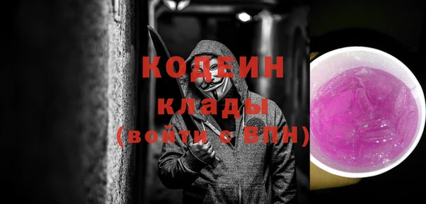 стаф Вязьма