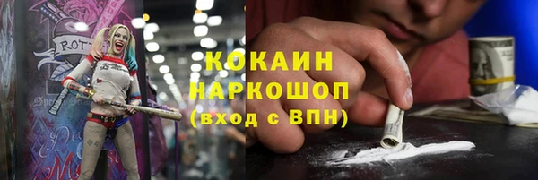 стаф Вязьма