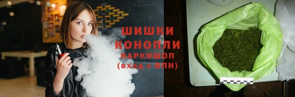стаф Вязьма