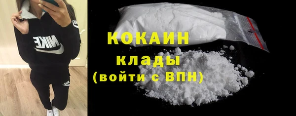 шишки Вяземский