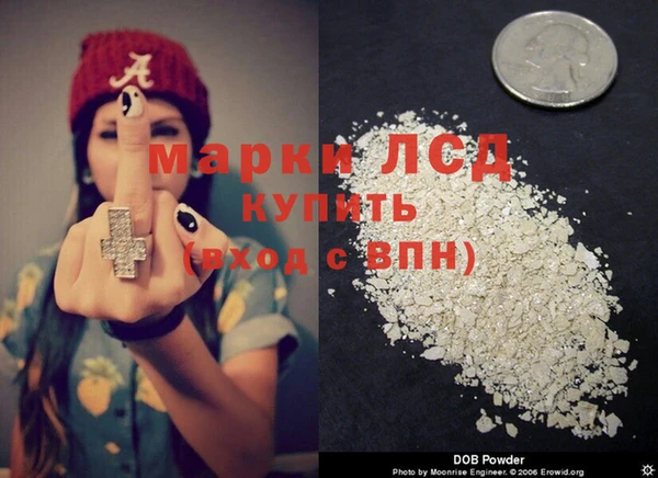 стаф Вязьма