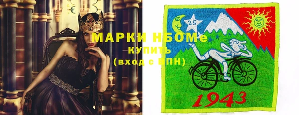 стаф Вязьма