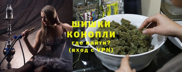 стаф Вязьма
