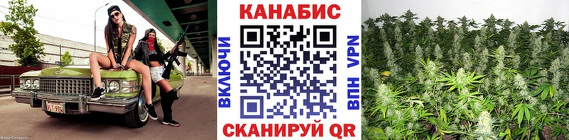 кракен зеркало  Иннополис  Конопля White Widow 